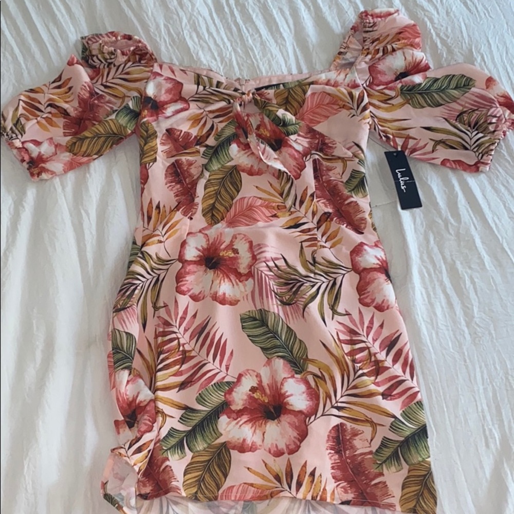 Lulus dress NWT